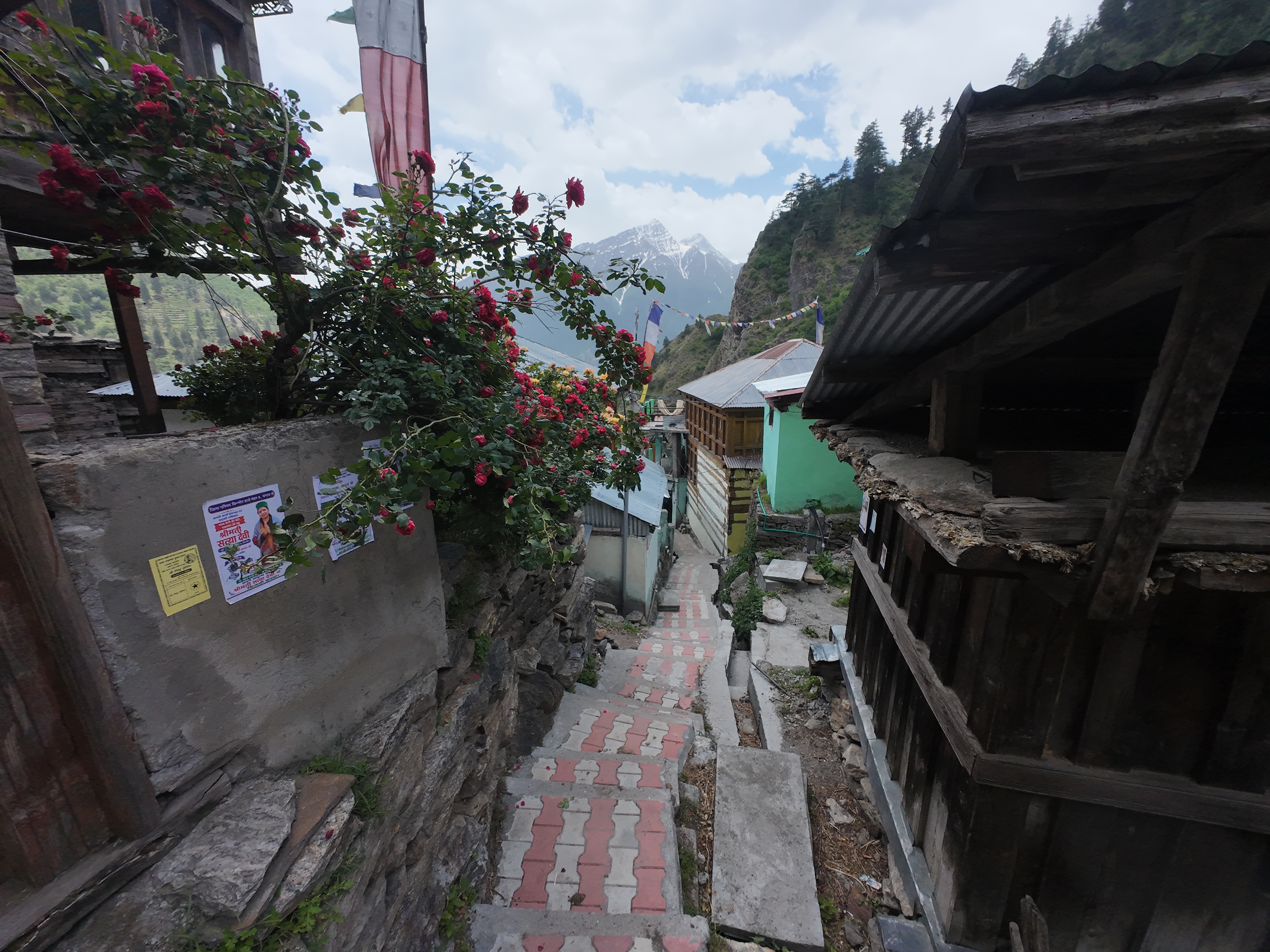 Narrow lane through Yulla Khas village with Kinnauri houses, roses and snow peaks