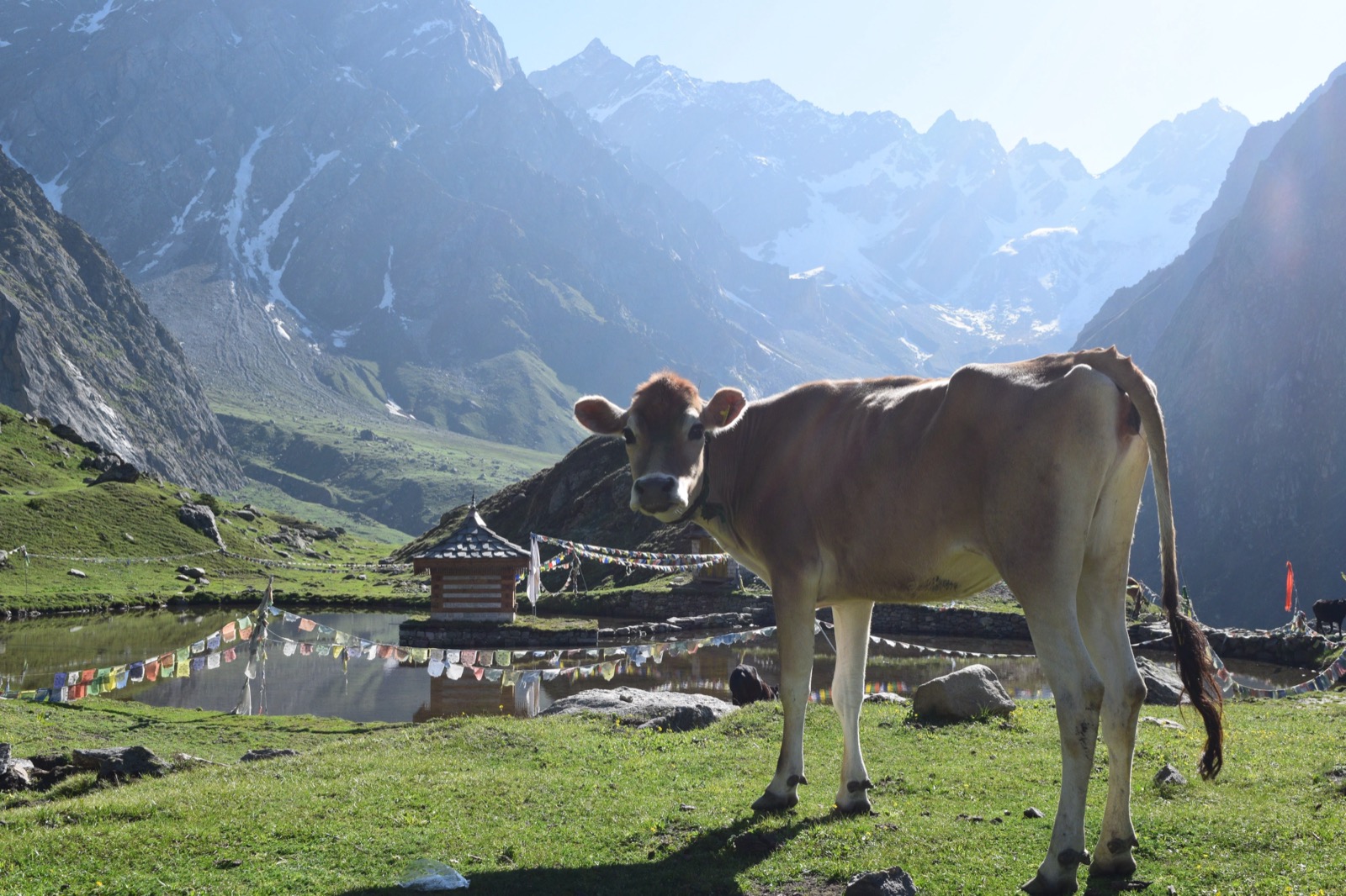 Alpine meadow at Yulla Kanda with the Krishna temple and Himalayan peaks in golden light